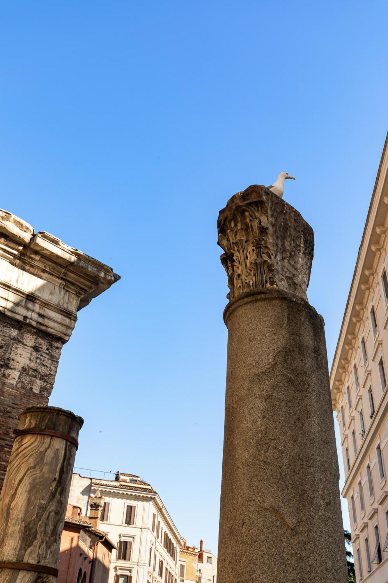 Campitelli 9 - Loft In Ancient Rome Apartment Exterior photo